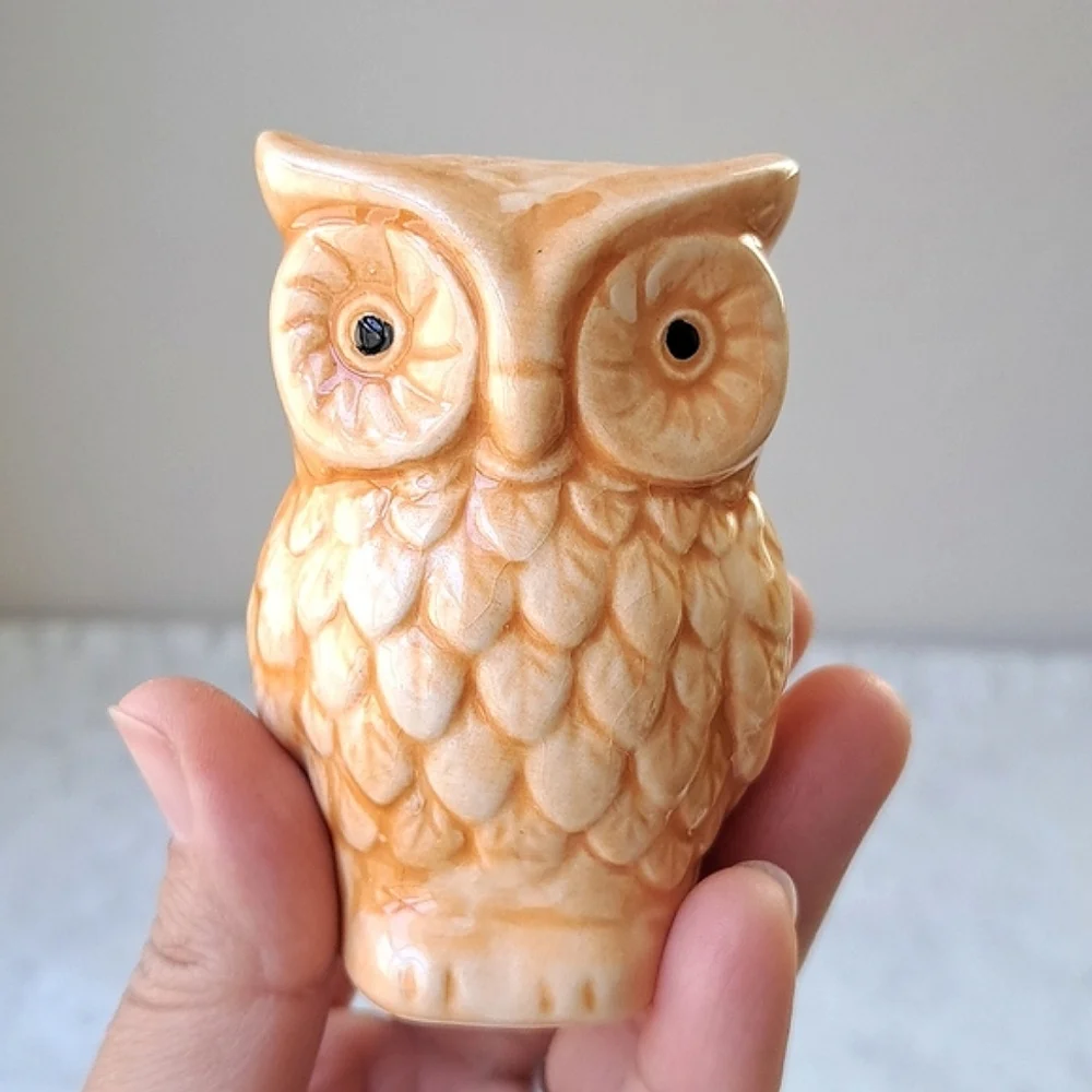 Vintage Pair MCM Handpainted Classic Ceramic Owl Salt & Pepper Shakers Pottery